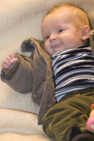 toms1753.jpg